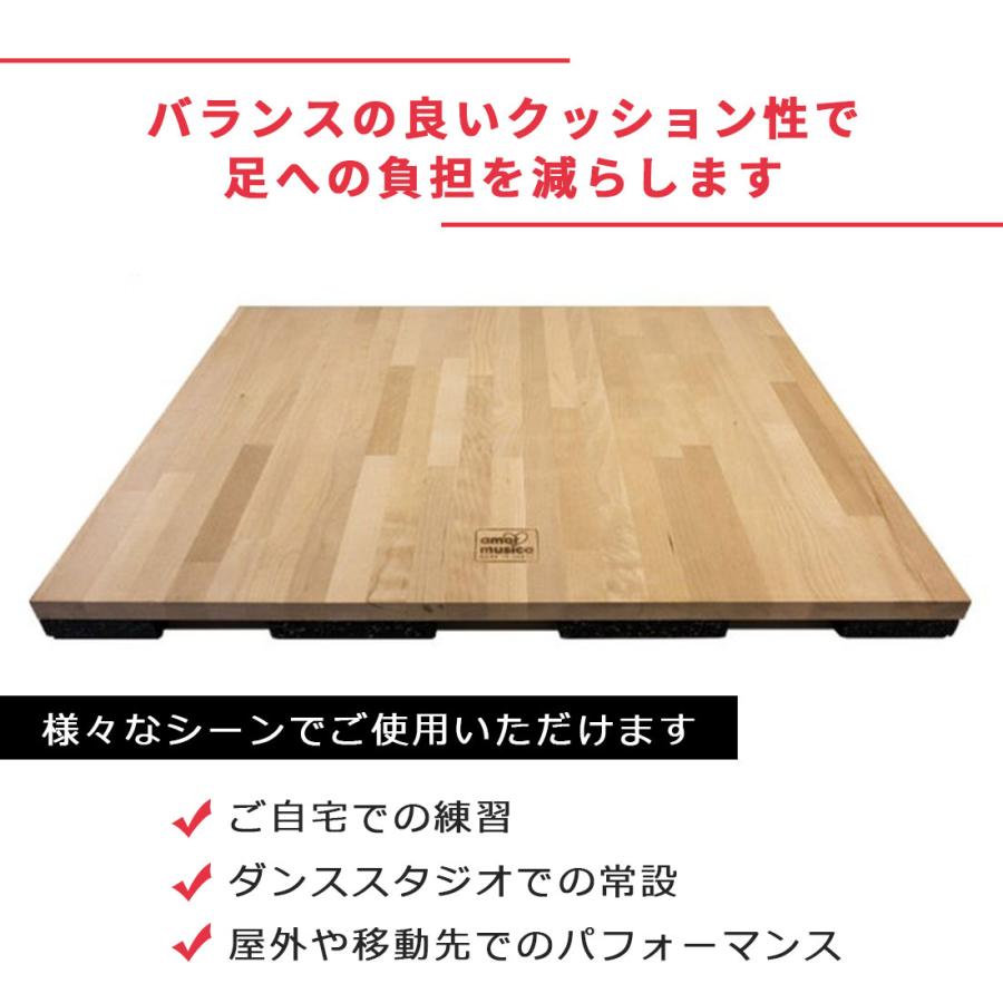 TIERRA UNO(ティエラウノ) ダンストレーニングボード  Mサイズ STEPB-M メーカー直送品 |  | 02