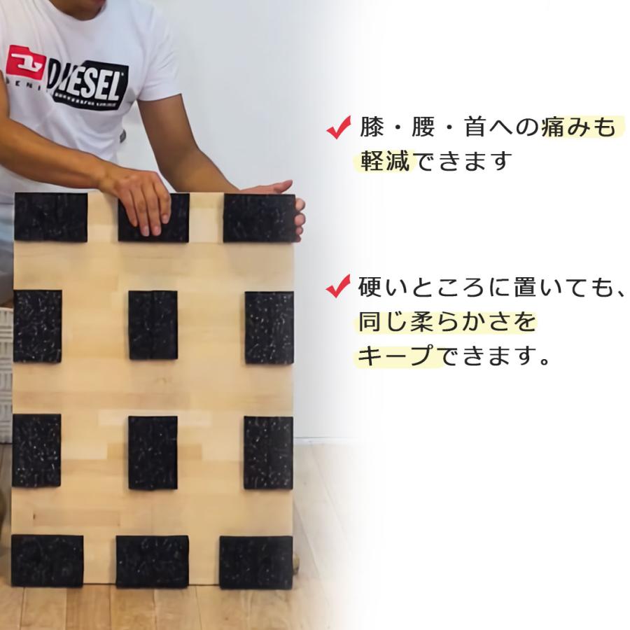 TIERRA UNO(ティエラウノ) ダンストレーニングボード  Sサイズ STEPB-S メーカー直送品 |  | 06