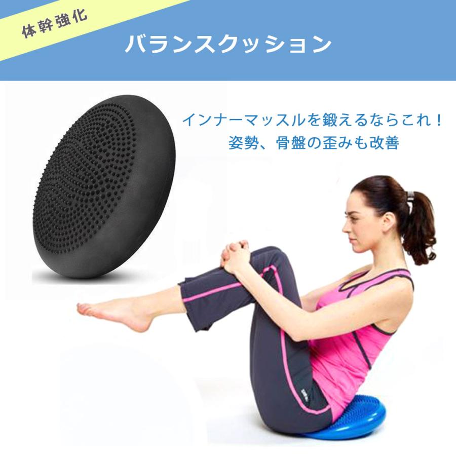 エクササイズグッズ air エクササイズグッズ air エアーイオニオンZX