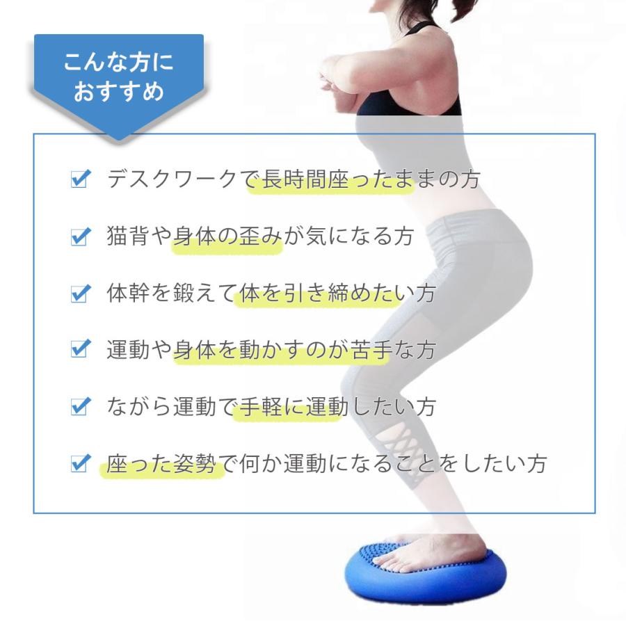 エアクッション エクササイズ ZTR-BCUSSION アジリティディスク エア