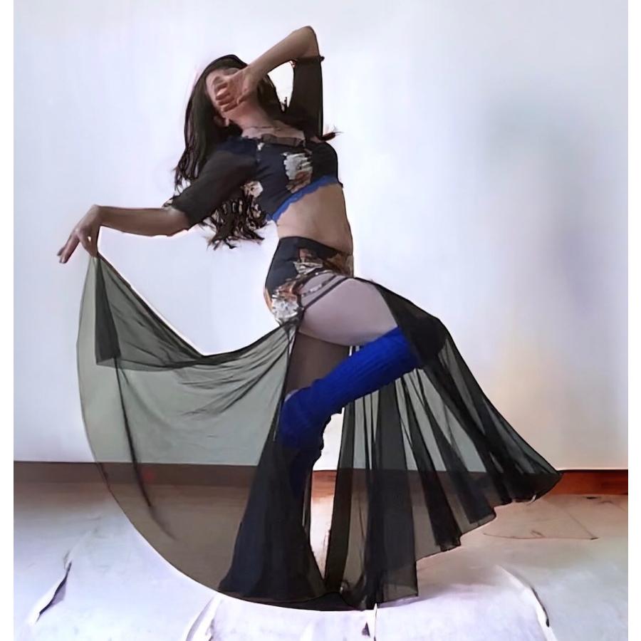 ベリーダンス練習服ハーフスリーブトップ + ガーゼフィッシュ