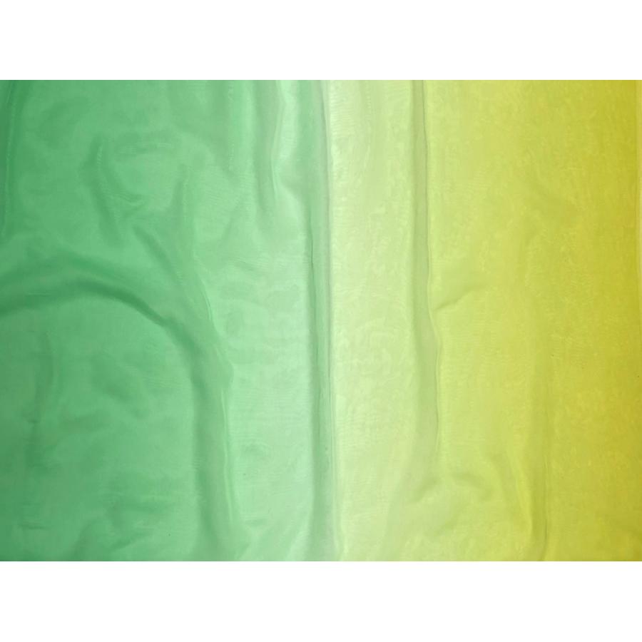 ✨️バレエ衣装✨️ジョーゼットグラデーション バレエ衣装レンタル ジョーゼット Fil d'Or