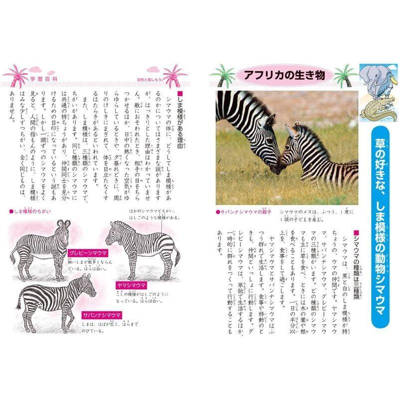 ショウワノート 学習帳 ジャポニカ 漢字練習 100字 B5 5冊パック Jl 50 5 D C Plus 通販 Yahoo ショッピング