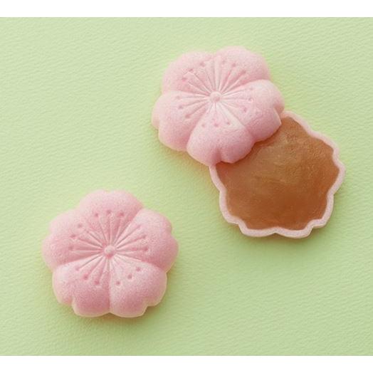 とらや 羊羹 詰め合わせ 虎屋 最中 熨斗対応 18個入 贈答用 お菓子