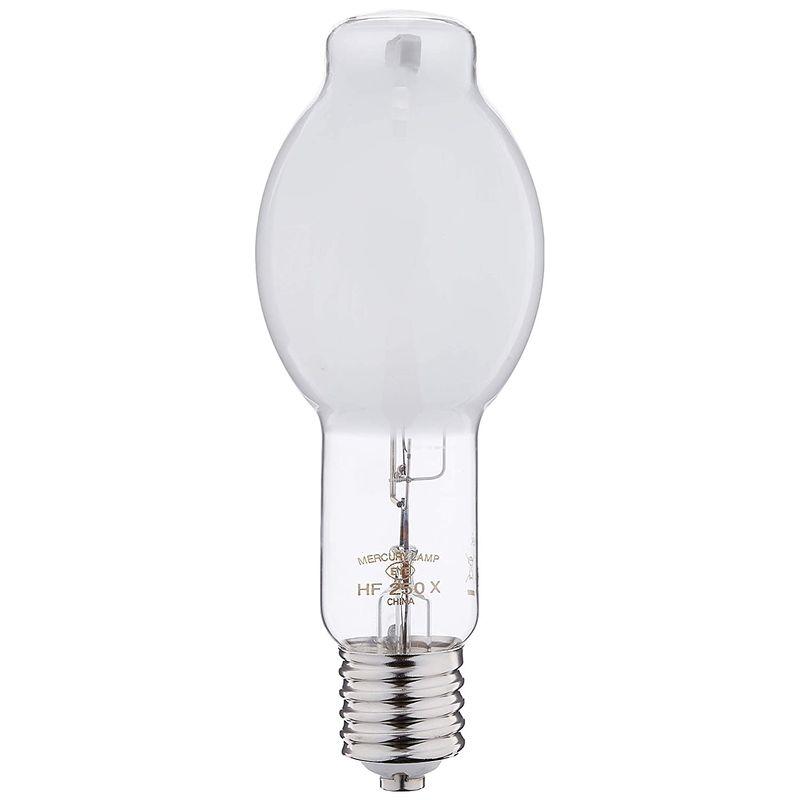 超定番岩崎 水銀ランプ HF250X 電球 | junesindiankitchen.co.uk