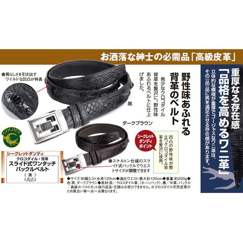 DT MaxMara ☆ クロコダイルプリント ベルト ADUNCO 2色 THE