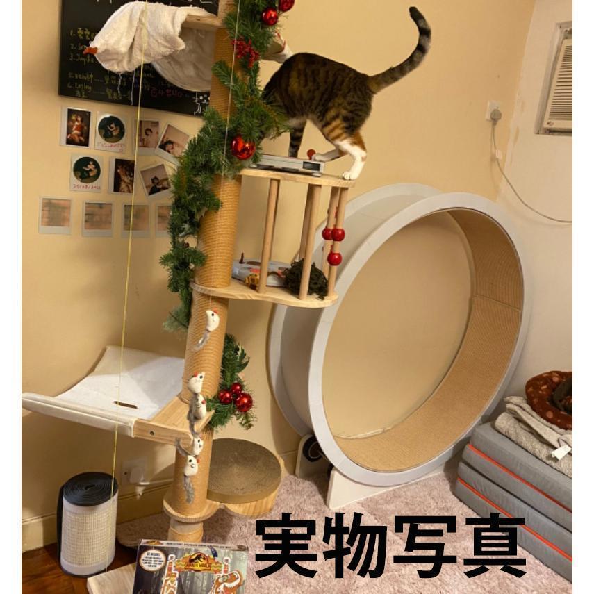 キャットホイール 猫の車輪 猫の回し車 猫のトレッドミルの車輪 猫のエクササイズホイール 猫ローラー ペット用トレッドミル 歩く猫フィットネス 猫のおもちゃ おもちゃ U1308524623(12493円)