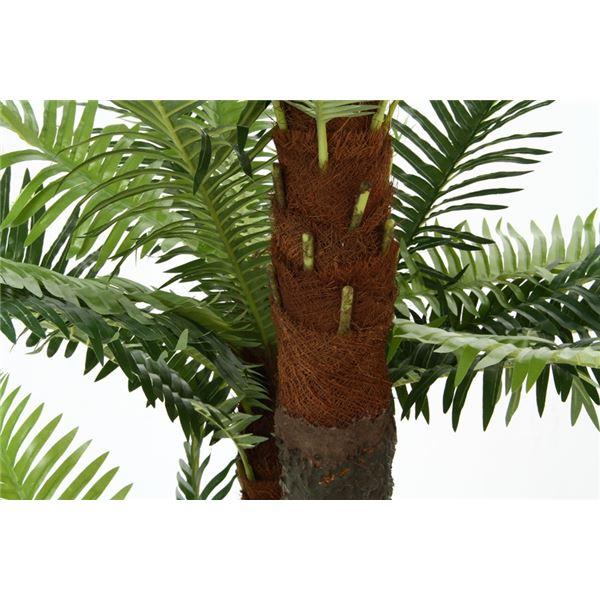 観葉植物 造花 約幅90cm シダ 7号鉢対応 43 52678 インテリアグリーン リビング 店舗 ショップ お店 R1519668851(14510円)