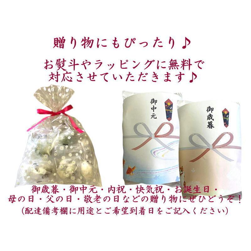 よもぎ餅 (草もち)20個【送料無料】(つぶあん)冷凍(草餅)【個包装】国産よもぎたっぷり【北海道・十勝産豊祝小豆】【キノアン】 :501:和のこころ~だいまる~ - 通販 - Yahoo!ショッピング よもぎ餅 (草もち)20個【送料無料】(つぶあん)冷凍(草餅)【個包装】国産よもぎたっぷり【北海道・十勝産豊祝小豆】【キノアン】 :501:和のこころ~だいまる~ - 通販 - Yahoo!ショッピング