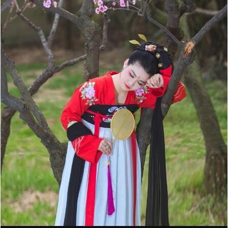 お友達ペア中華仙女服刺繍コスプレ衣装ステージ衣装パーティー 写真撮影学園祭舞台演出ダンス衣装 ドレス レディース 仮装 学園祭普段着 Den078 人気ファッション店 通販 Yahoo ショッピング