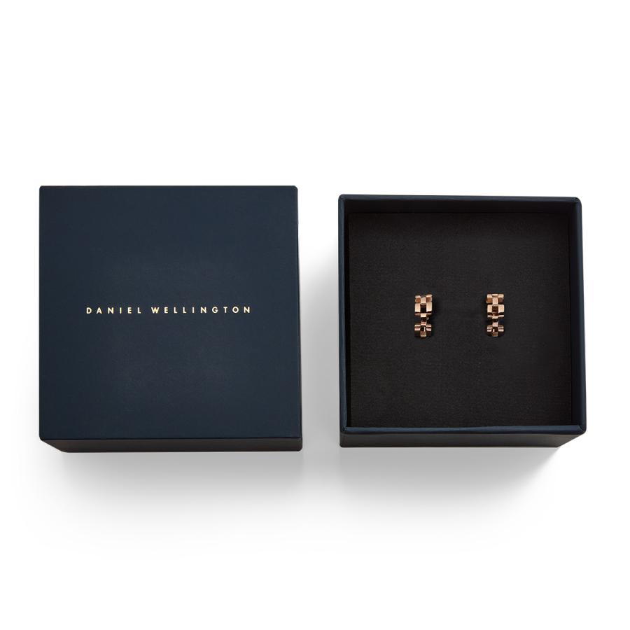 Daniel Wellington ピアス ダニエルウェリントン DW 5 Link