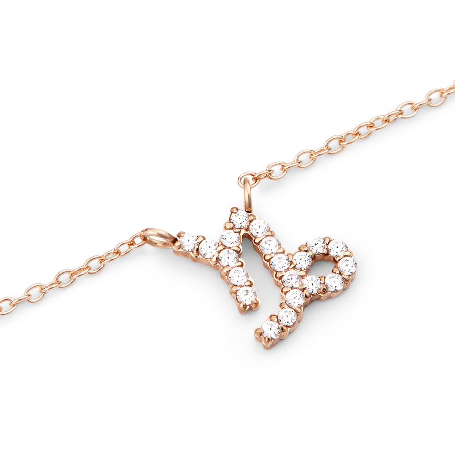 ダニエルウェリントン　ネックレス Daniel Wellington（ダニエルウェリントン） DW ネックレス Zodiac