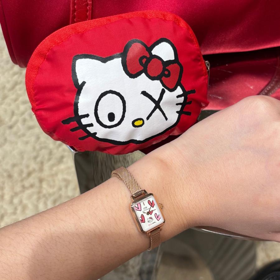 Daniel Wellington（ダニエルウェリントン） 腕時計 レディース ハロー