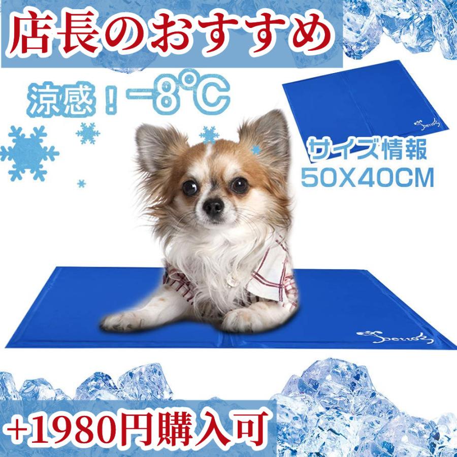猫 猫食器 フードボウル 陶器 木製 天然木 えさ 皿 高さ調節可能 犬 ごはん 台 食器台 食器スタンド ごはん皿 ペットボウル台 滑り止め B0923ww4xf Danimo 通販 Yahoo ショッピング