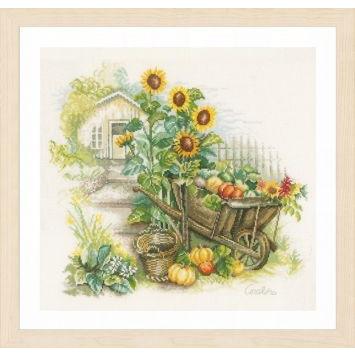 WHEELBARROW & SUNFLOWERS