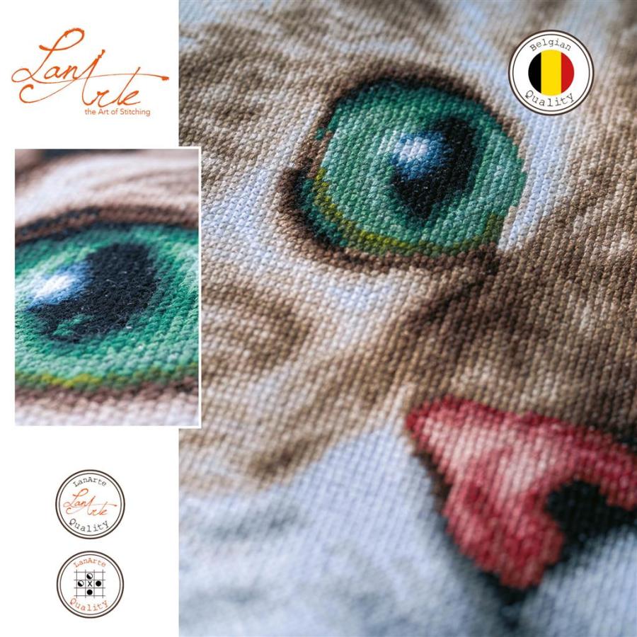 ラナーテ　クロスステッチ 刺繍キット 【THE PURRFECT STARE】 LanArteシリーズ　 輸入ししゅうキット 　ベルギー　中級者から上級者向き_2