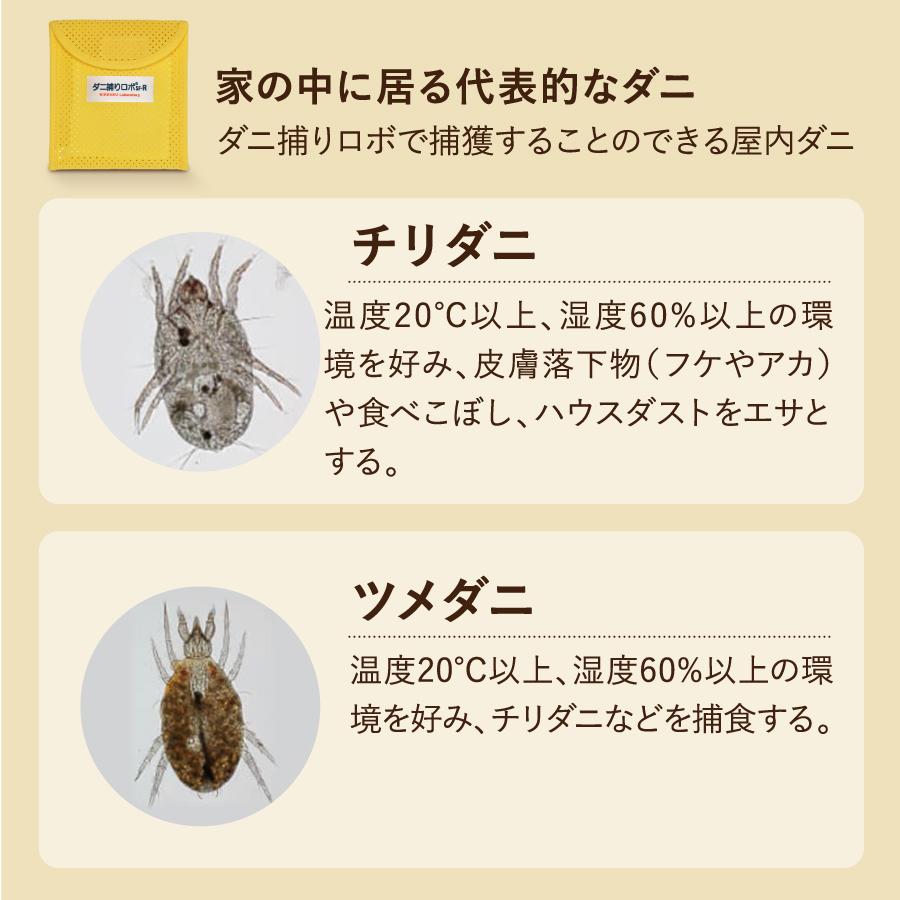 ダニ捕りロボ 日革研究所直営 ラージサイズ詰替5枚組【 ダニ ダニ対策