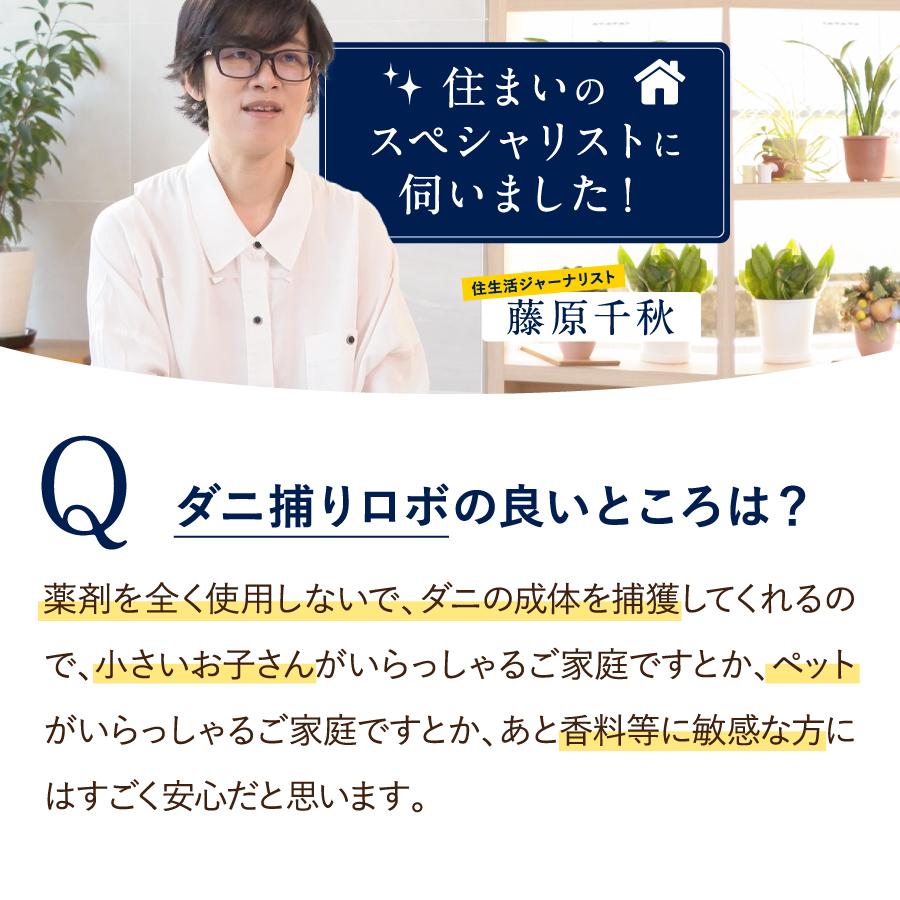ダニ捕りロボ 日革研究所直営 レギュラーサイズ詰替3枚組 【 ダニ ダニ