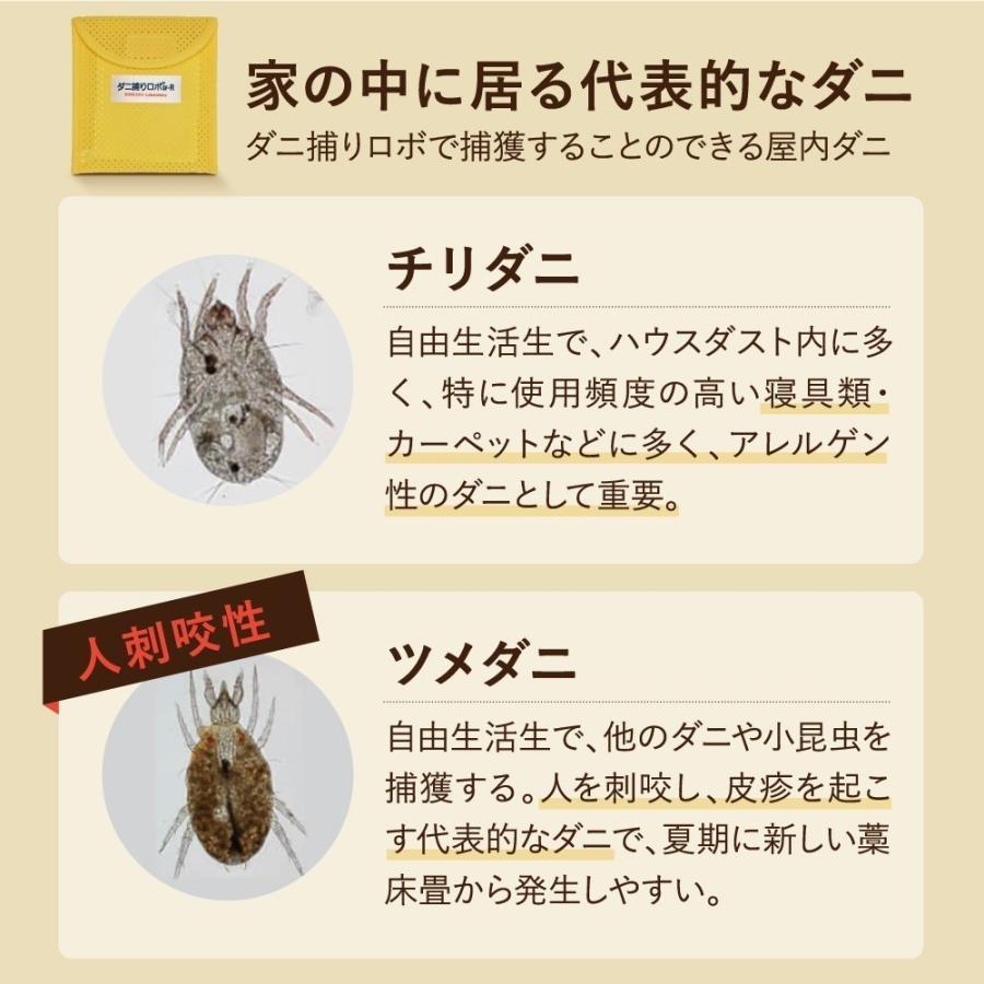 日革研究所直営 ダニ捕りロボ お試し1個(ラージサイズ)【ダニ駆除 ダニ捕りマット ダニシート ダニ取りシート ダニ ダニ取りマット ダニよけ ...