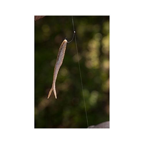 破格値下げ Berkley バークレー ワーム パワーベイト マックスセント フラットノーズ ミノー 4インチ スモークブラックブルーゴールド Pbmsfm4 Sbbg その他ソフトルアー Www We Job Com