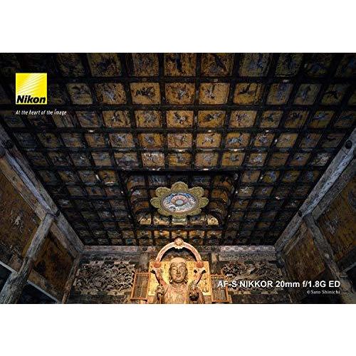 楽天ランキング1位 Nikon 単焦点レンズ Af S Nikkor mm F 1 8g Ed Afs 1 8g Seal限定商品 Blog Lonolife Com