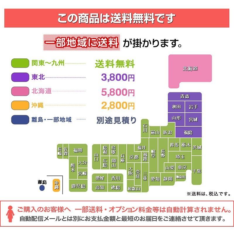 二段ベッド 宮棚照明付き イーニー 2段ベット 高耐荷重 耐震 子供 業務 大人用 爆買_20