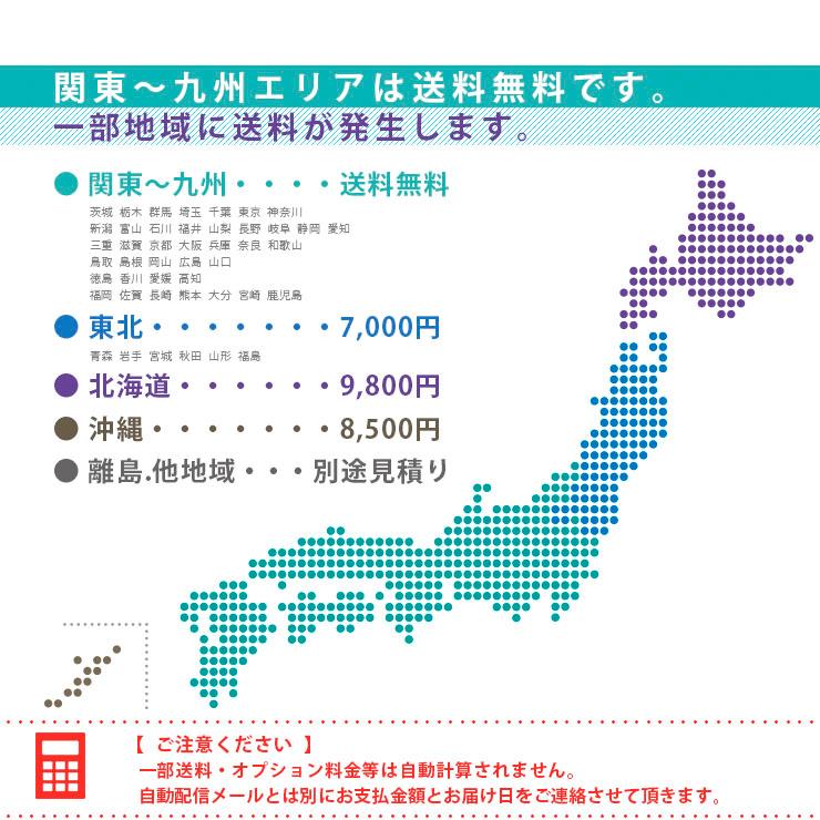 ロフトベッド 2,000円OFFクーポン イーニーII Hi 本体 宮棚付 耐荷重500kg 送料無料 特許構造 LED照明 8色 耐震 システム 大人用業務用｜danketuhl｜20