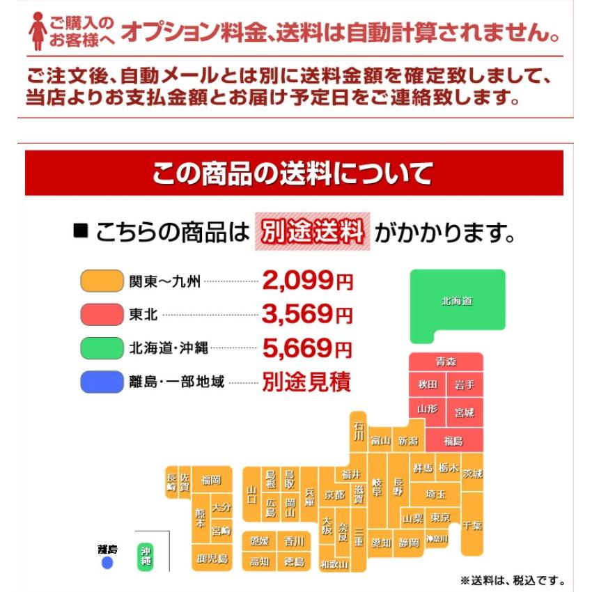 セミシングル SSS 薄型ポケットコイルマットレス コージィー ベッド 2段ベット 二段 ロフト システム 三段 3段 爆買の画像