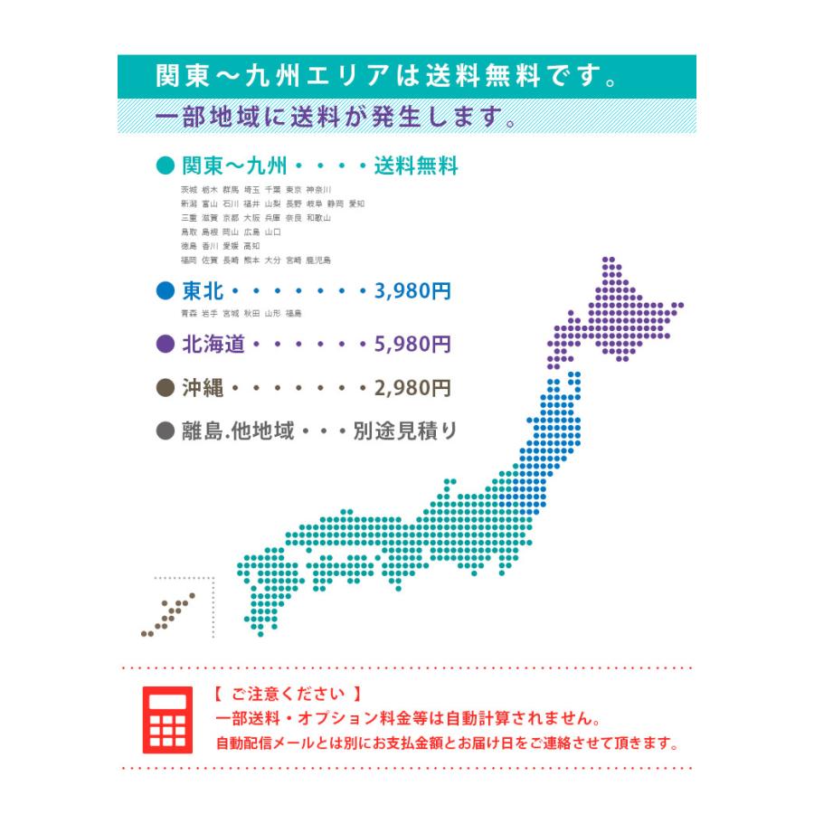 2段ベッド リーウッド エコ塗装 スノコ床 二段ベット 耐荷重700kg 送料無料 特許構造 LED照明コンセント 宮棚 4色 耐震構造｜danketuhl｜20