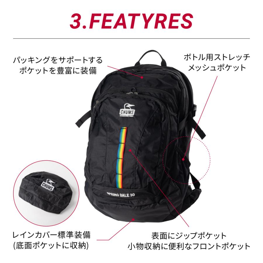 CHUMSチャムス SPRING DALE 30 リュック レインボーメッシュ CHUMSチャムス SPRING DALE 30 リュック レインボーメッシュ