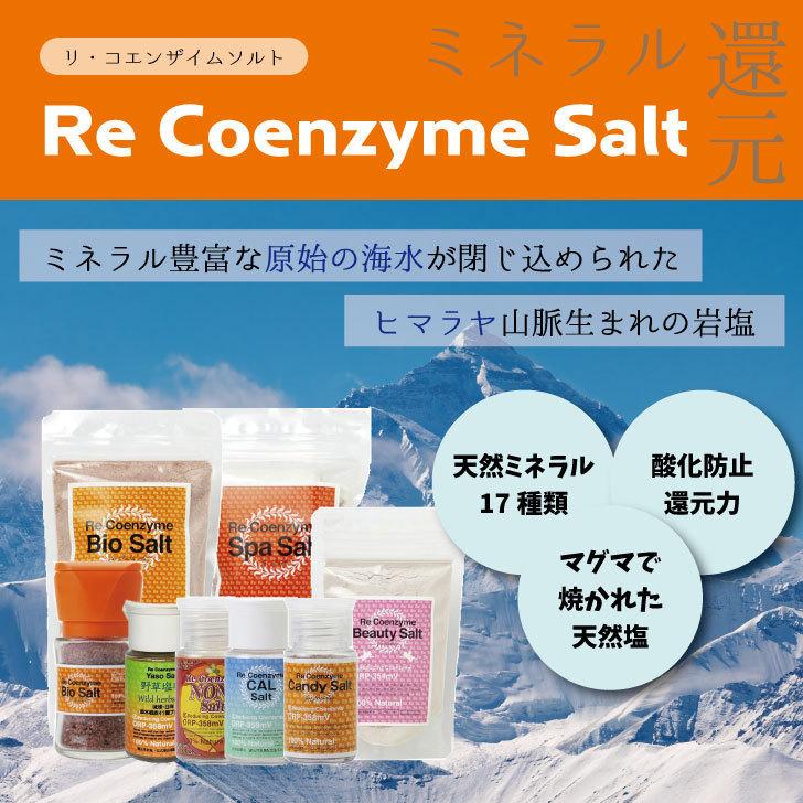 リコエンザイムソルト ビオソルト 300g(細粒タイプ) : 暖の郷 リコエンザイムソルト ビオソルト 300g(細粒タイプ) : 暖の郷