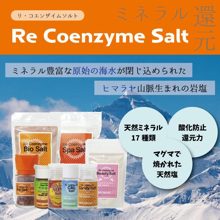 リ・コエンザイム カルソルト詰替用 100g【2個セット】：美健ストア リ