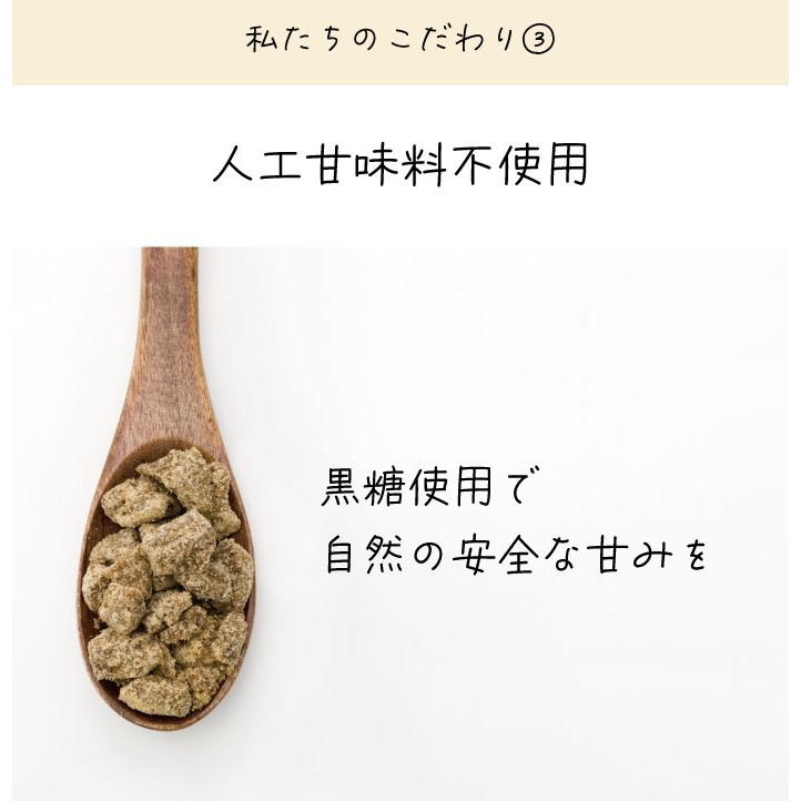 フルビック生酵素 720ml 国産 フルボ産 無農薬 酵素 腸内環境 腸活