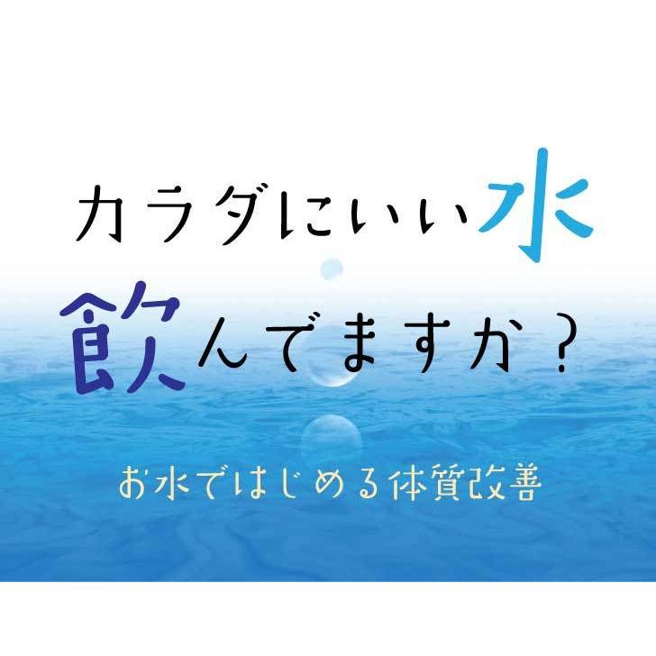 浄水ポット 本体 Re.Cera リセラ 低分子クラスター 浸透水 生成浄水