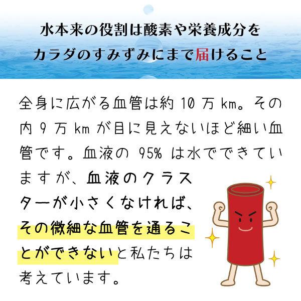浄水ポット 本体 Re.Cera リセラ 低分子クラスター 浸透水 生成浄水
