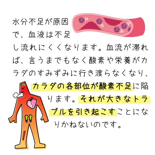 浄水ポット 本体 Re.Cera リセラ 低分子クラスター 浸透水 生成浄水