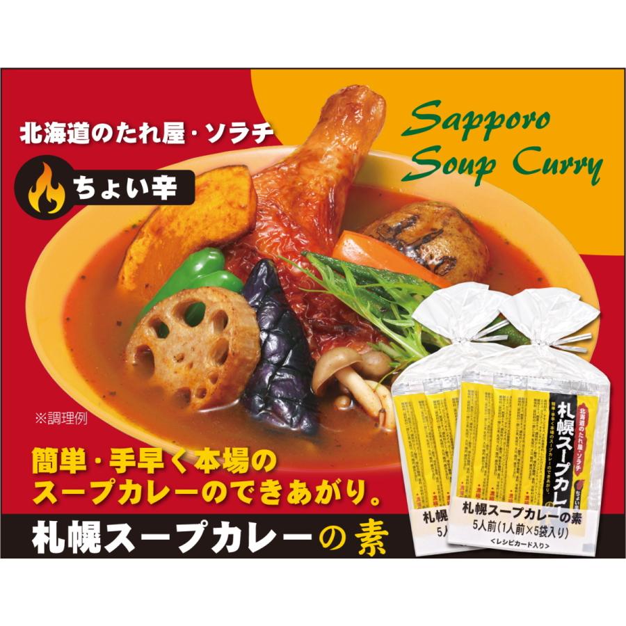札幌スープカレーの素 5袋入 1袋あたり25g Soupcurry だんらん通販 Yahoo 店 通販 Yahoo ショッピング