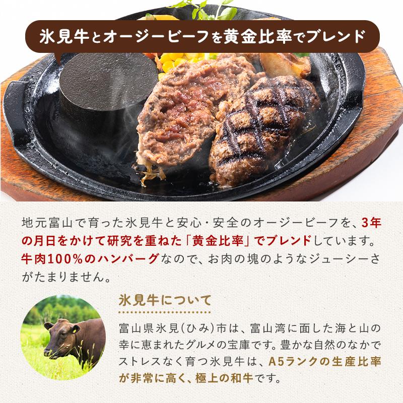 ハンバーグ お試しセット 送料無料 氷見牛 網焼きハンバーグ ２００g×２個｜danranya｜06