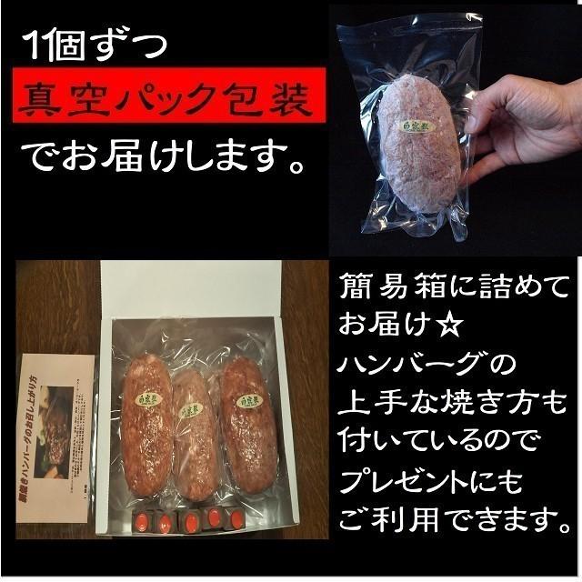 お歳暮 網焼き ハンバーグ 黄金率 合挽きハンバーグ ギフト お取り寄せ｜danranya｜05