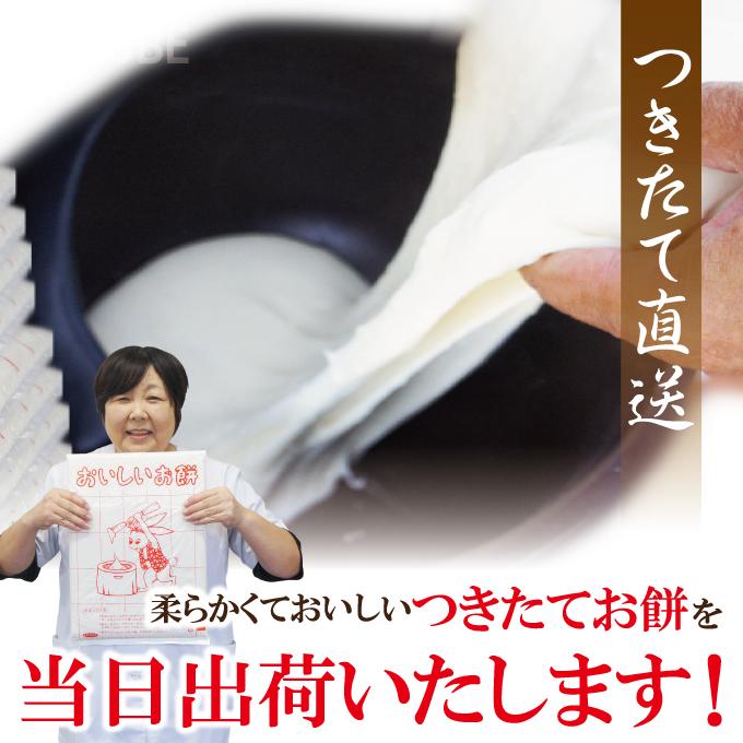 2枚以上購入で1枚付いてくる お正月用のし餅杵つきのしもち1枚当2kg 2