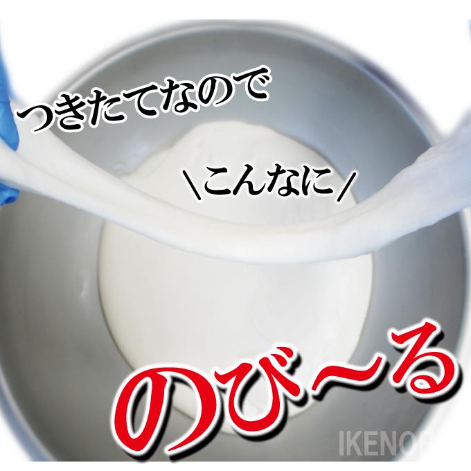 2枚以上購入で1枚付いてくる お正月用のし餅杵つきのしもち1枚当2kg 2