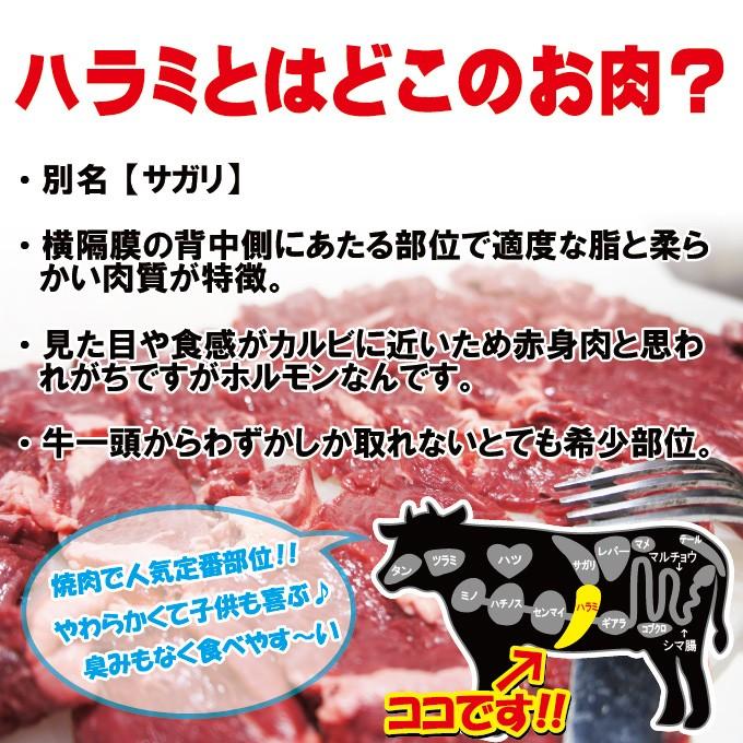 オーストラリア産 牛ハラミ はらみ 500g 冷凍 穀物肥育 cut 男しゃく 100g当277.6円+税 焼肉 バーベキュー BBQ 牛肉 ホルモン cut|dansyaku|02