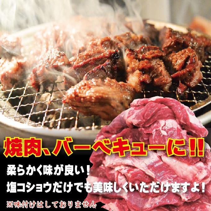 オーストラリア産 牛ハラミ はらみ 500g 冷凍 穀物肥育 cut 男しゃく 100g当277.6円+税 焼肉 バーベキュー BBQ 牛肉 ホルモン cut|dansyaku|04