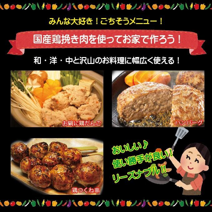 国産鶏ひき肉　600ｇ　冷凍　国産鶏肉100％使用　鶏肉 鶏挽肉 ミンチ むね肉 ムネ肉｜dansyaku｜06