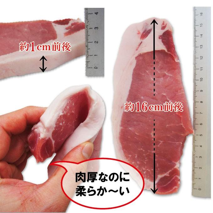 送料無料 西京風厚切り豚ロース味噌漬け 冷凍 約1 1ｋｇ 10枚入り 約2ｇ 5パック 三元豚使用 みそ 2セット以上ご購入でおまけ付き そうざい 男しゃく 通販 Yahoo ショッピング