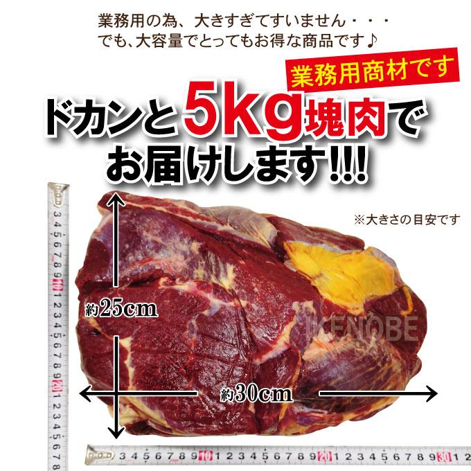 塊肉5kg端切れ馬肉 業務用 冷凍ブロック ペットフード ドッグフード