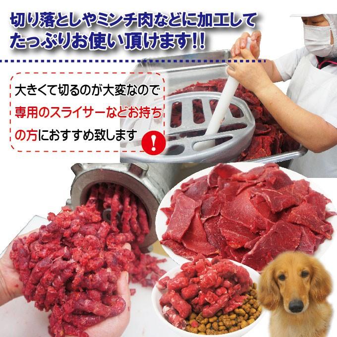 塊肉5kg端切れ馬肉 業務用 冷凍ブロック ペットフード 塊肉5kg端切れ馬肉 業務用 冷凍ブロック ペットフード