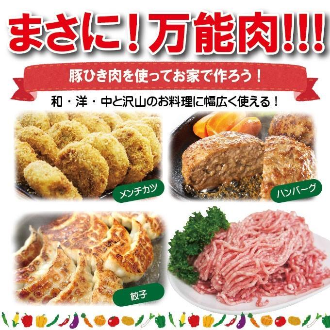 豚挽き肉 カナダ産 500ｇ入冷凍 パラパラミンチではありませんが格安商品 ひき肉 挽肉 挽き肉 豚ミンチ 豚挽肉 そうざい 男しゃく 通販 Yahoo ショッピング