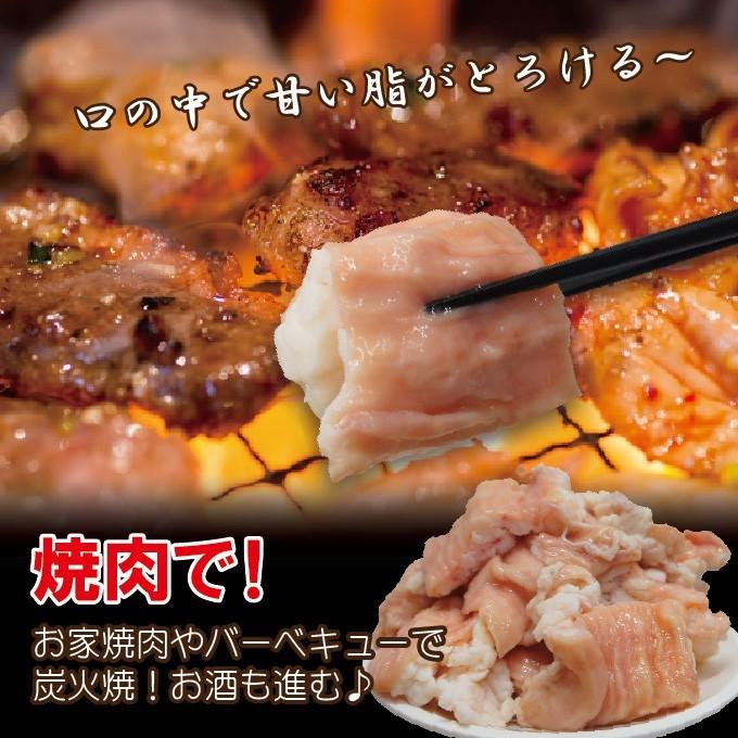 牛シマチョウ　338g　素材そのまま味付け無し冷凍　アメリカ産 焼肉 牛もつ ホルモン シマ腸 大腸｜dansyaku｜06