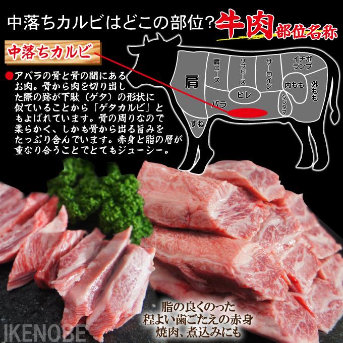 数量限定 黒毛和牛A5等級中落ちカルビ500g冷凍 希少部位 松阪 黒毛  
